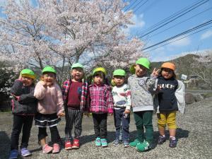 桜の下で